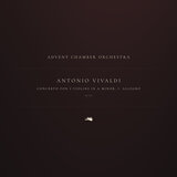 Concerto for 2 Violins in A Minor, RV 522: 1. Allegro