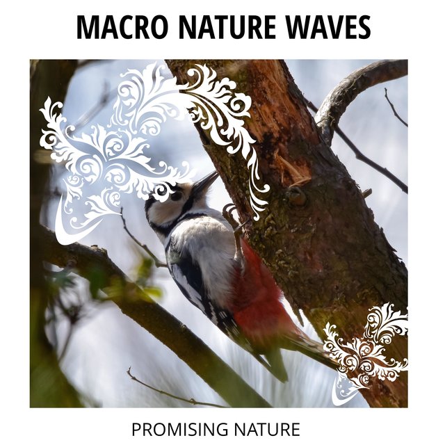 Macro Nature Waves - Promising Nature