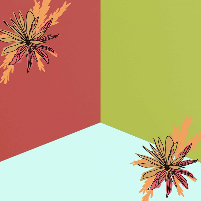 Funky Backdrop for Calming Environments