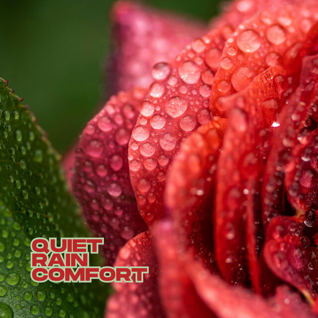 Quiet Rain Comfort