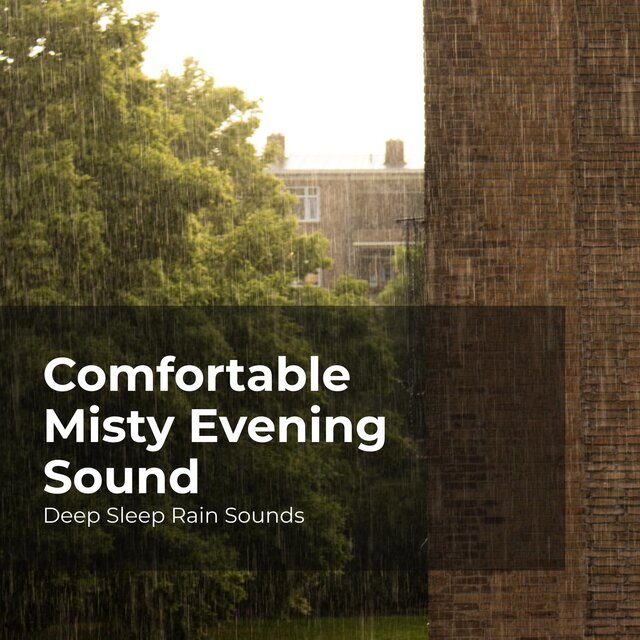 Comfortable Misty Evening Sound