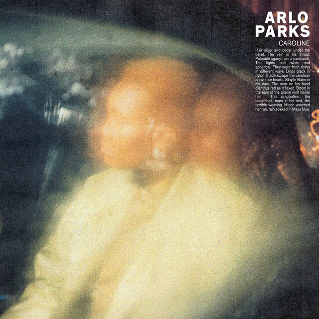 Cover art for album  by Arlo Parks