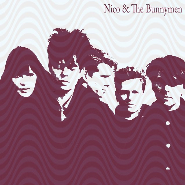 Nico & the Bunnymen