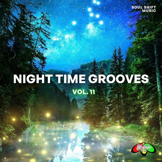 Night Time Grooves, Vol. 11