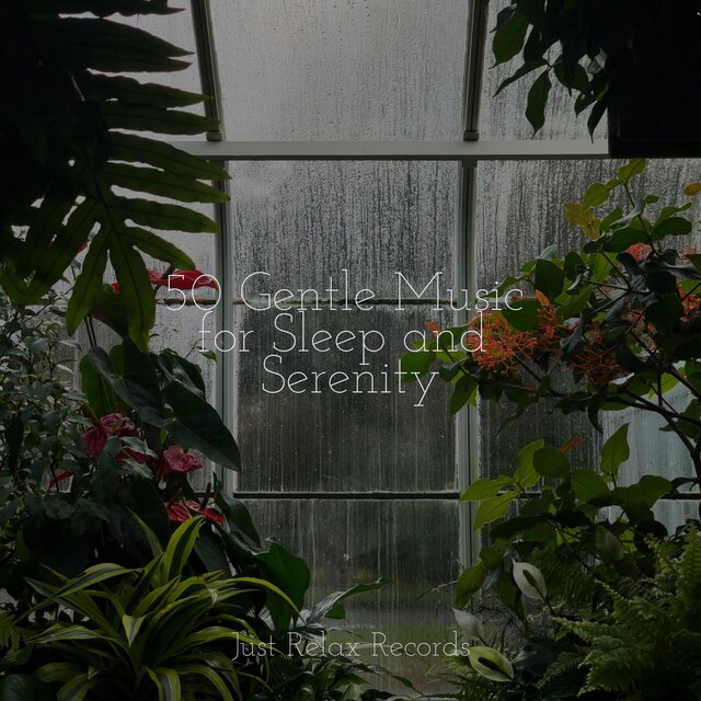50 Gentle Music for Sleep and Serenity