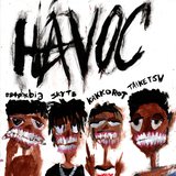 HAVOC (feat. 884Phxbia & Skyte)