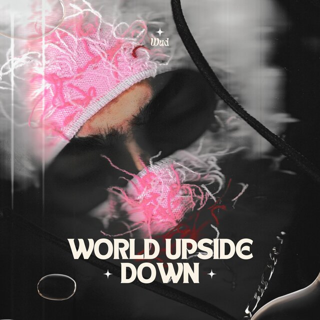 WORLD UPSIDE DOWN