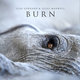 Cover art for album Burn by Lisa Gerrard, Jules Maxwell