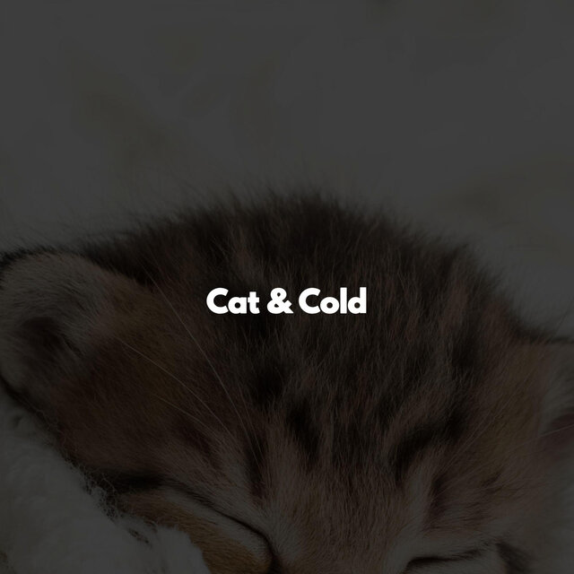 Cat & Cold