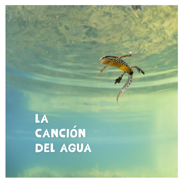 La canción del agua