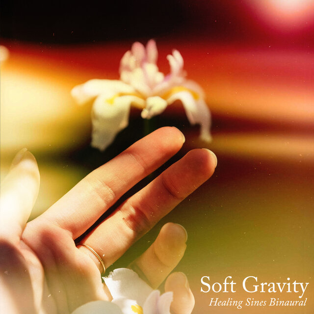 Soft Gravity