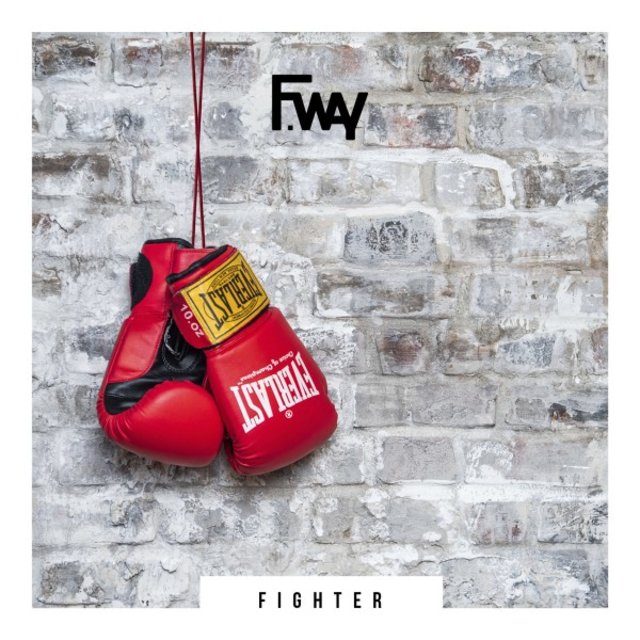 Fighter