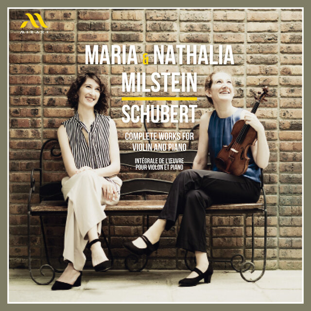 Schubert: Violin and piano Fantasia in C Major, Op. posth. 159, D. 934: I. Andante molto