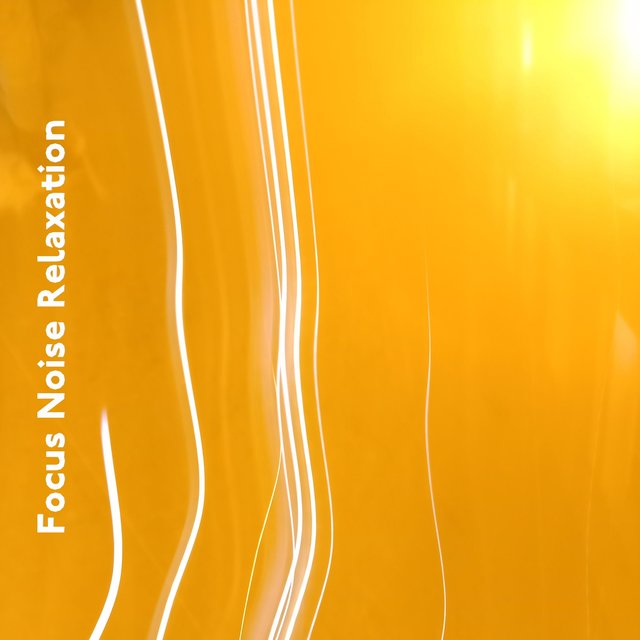 Focus Noise Relaxation  