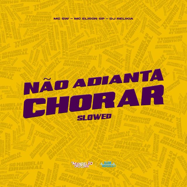 Não Adianta Procurar (Slowed)