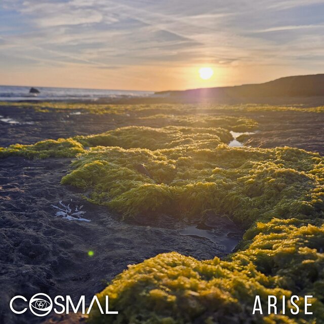 Arise
