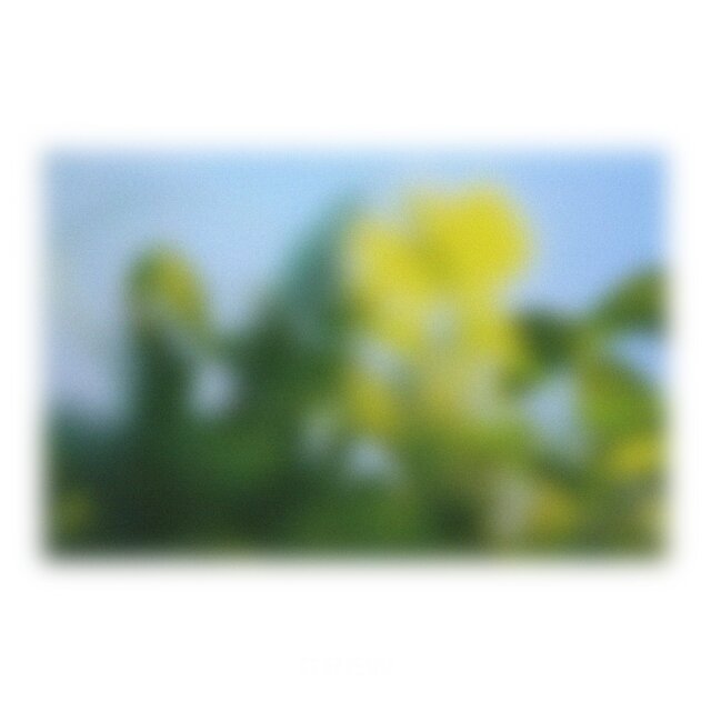 Grew
