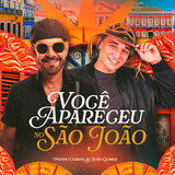 Você Apareceu no São João