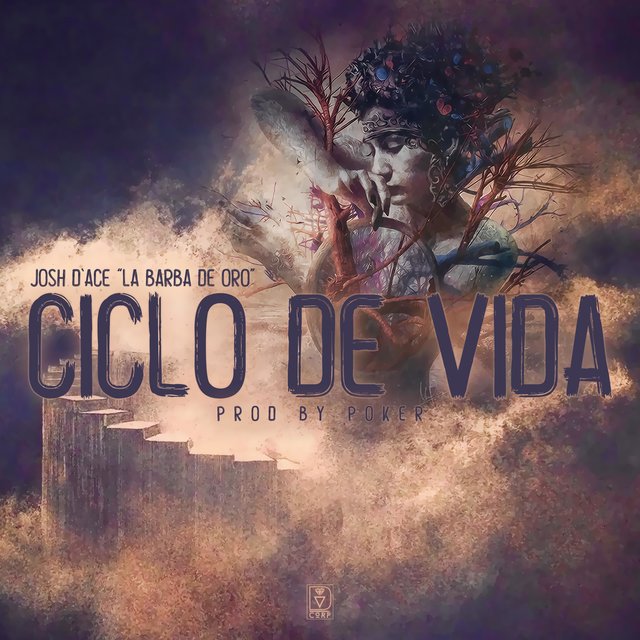 Ciclo de Vida