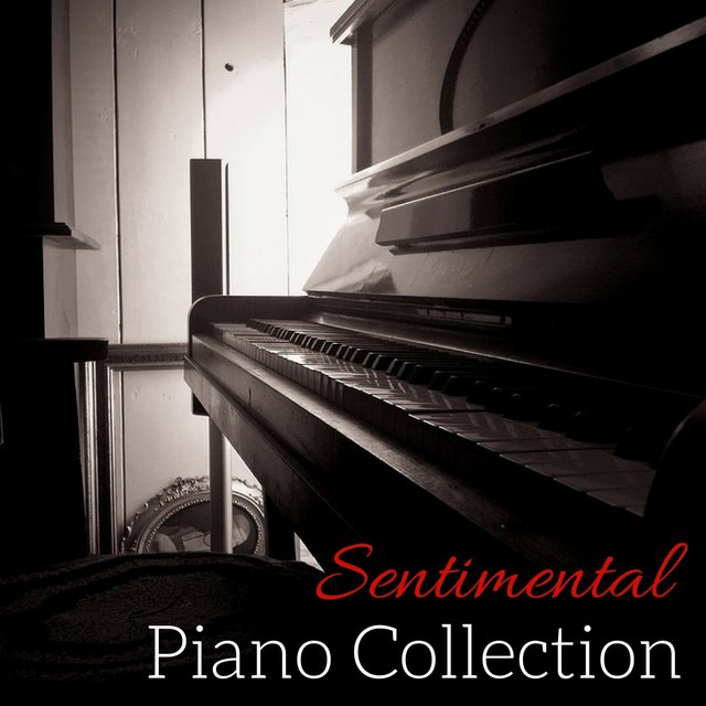 Sentimental Piano Collection - Healing Sanctuary of Sleep Music for Trouble Sleeping