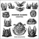 Cover art for album Chiroptera by Dominik Eulberg