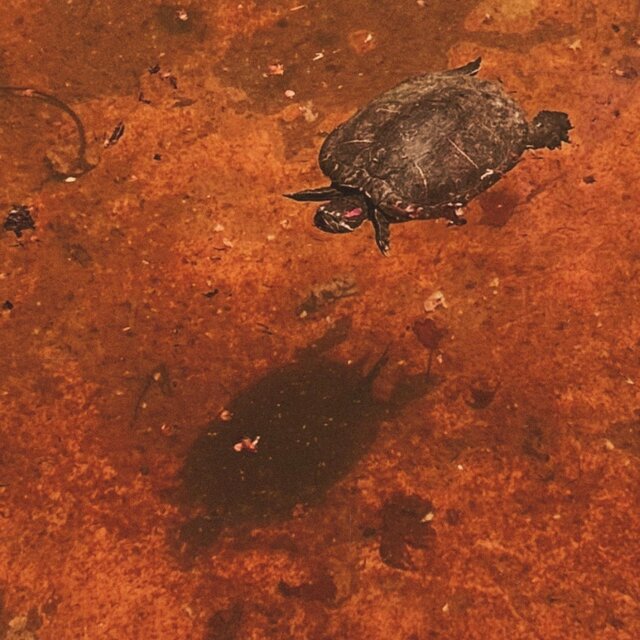 Slug Village : Soul Providerz