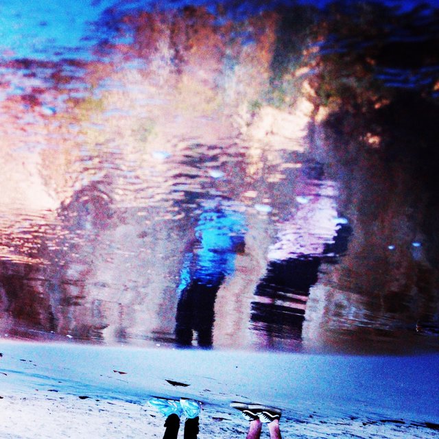 Reflections