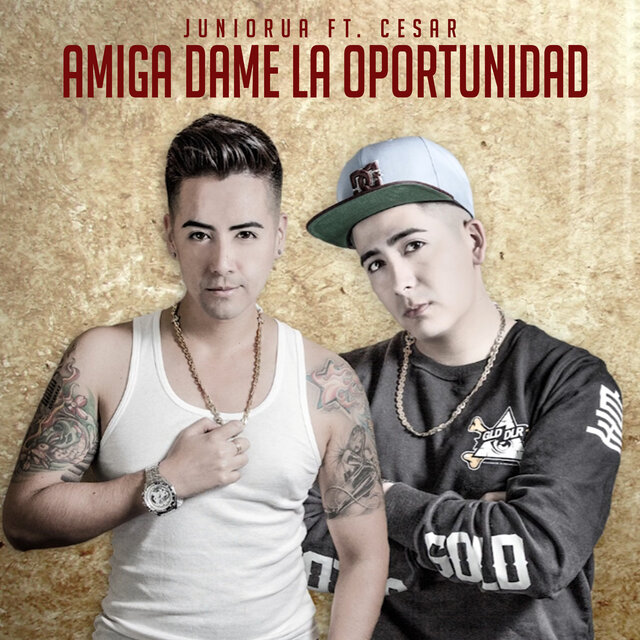 Amiga Dame la Oportunidad