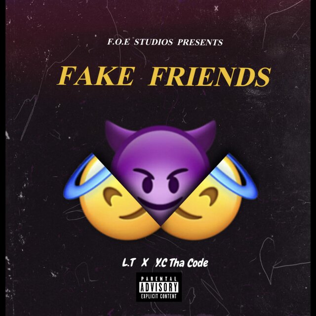 Fake Friends (feat. L.T)