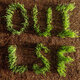 Cover art for album OUI, LSF by Les Savy Fav