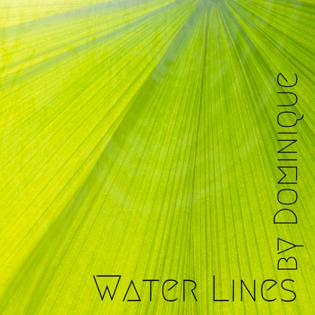 Water Lines