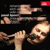 Concerto for Violin and Orchestra in D Major, Op. 35: I. Moderato nobile