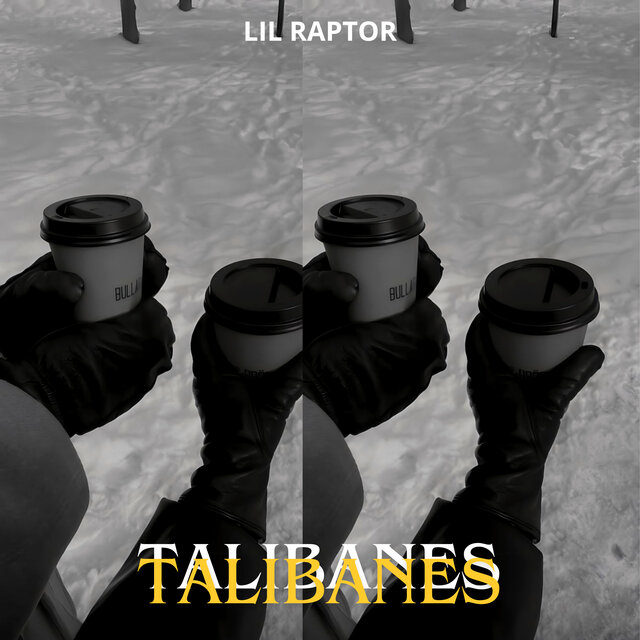 Talibanes