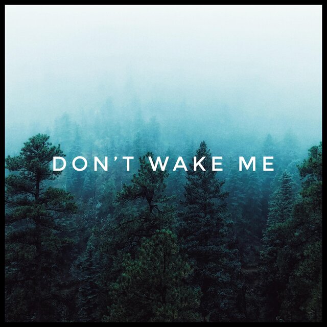 Don't Wake Me
