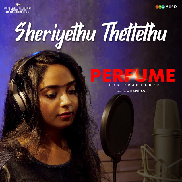 Sheriyethu Thettethu (From 