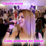 Colaj ardelene din Banat