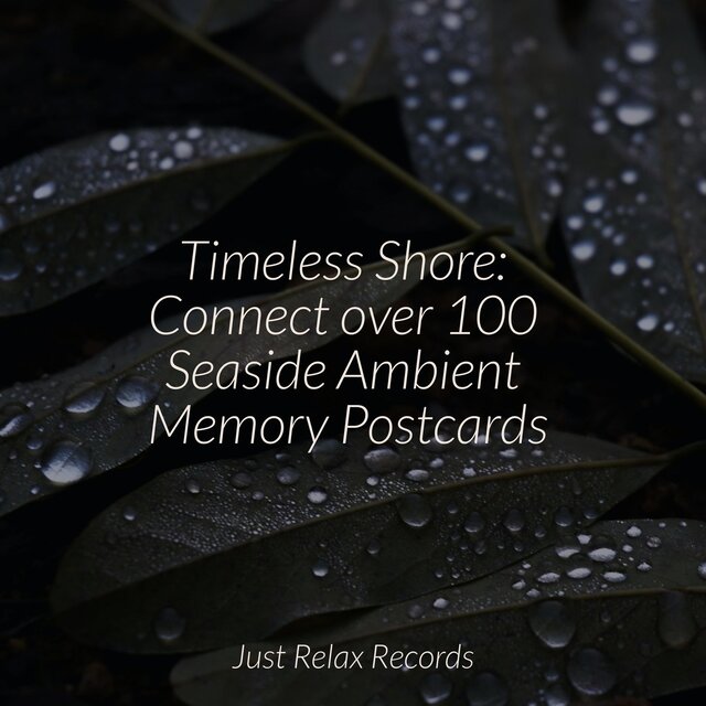 Timeless Shore: Connect over 100 Seaside Ambient Memory Postcards