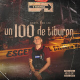Un 100 de Tiburon