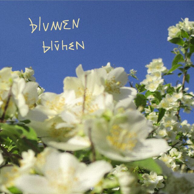 Blumen blühen (feat. Speedybeat & SeanScusi)