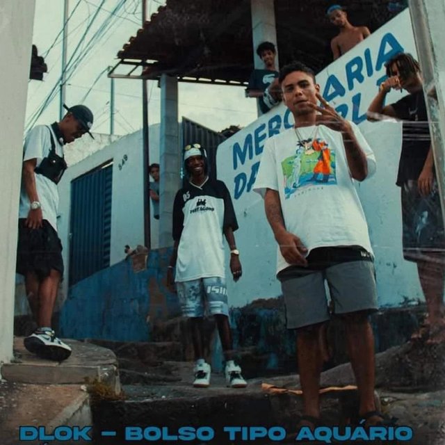 Bolso Tipo Aquário
