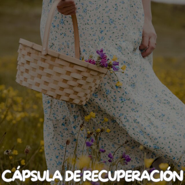 Cápsula de Recuperación