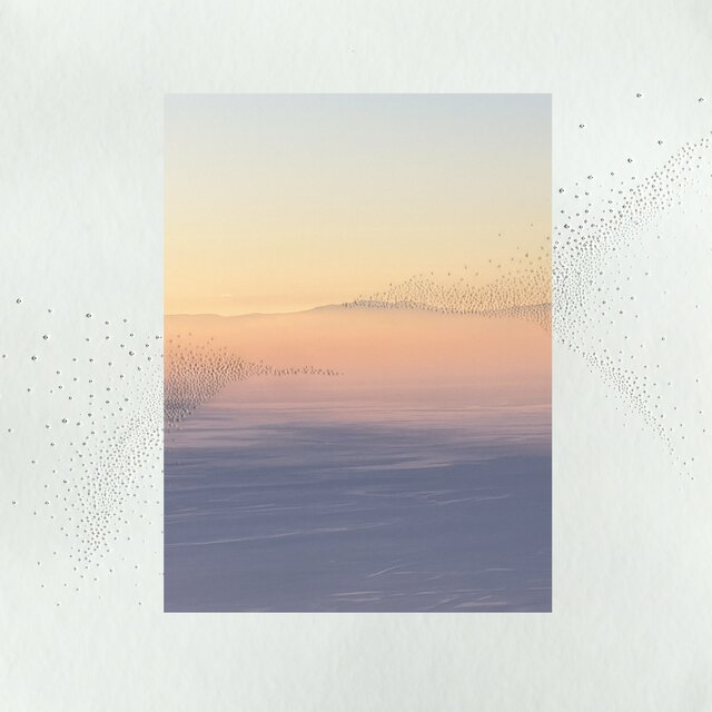 The Spaces Between