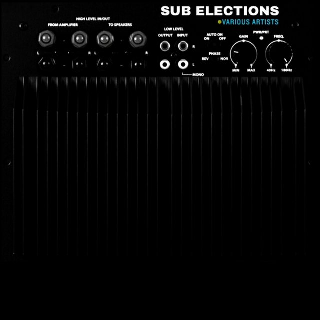 Sub Elections