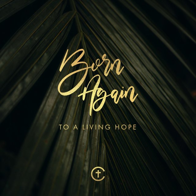 Born Again (To A Living Hope)