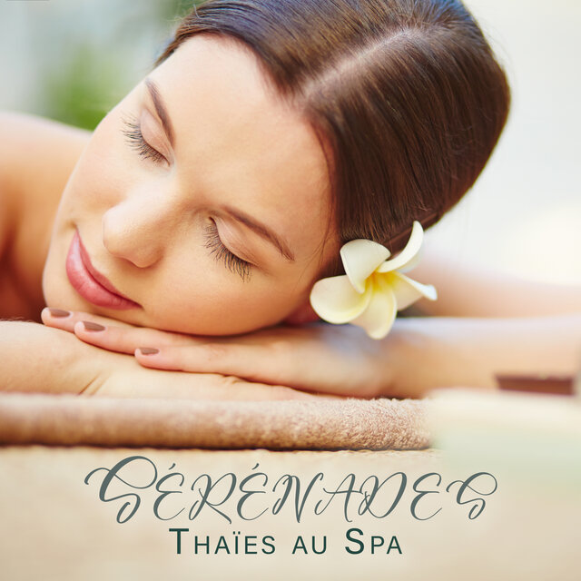 Sérénades Thaïes au Spa: Massage Apaisant et Traitements Relaxants