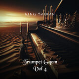Trumpet Vs Fluet