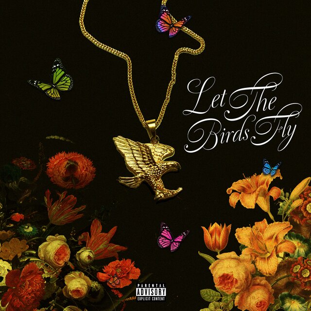 Let The Birds Fly