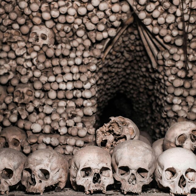 Afterlife