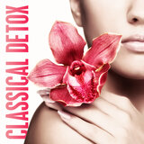 Concerto Grosso In D Major, Op. 6 No. 1: I. Largo
