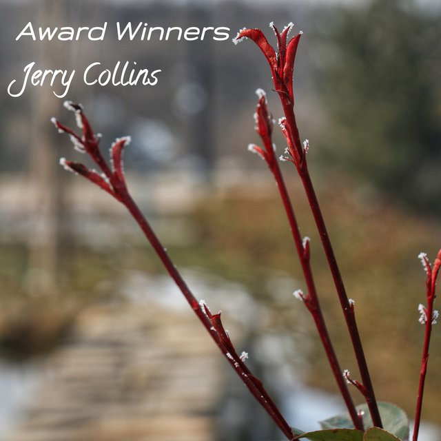 Award Winners